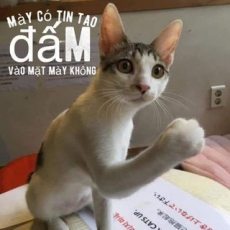 CẠM BẪY CỦA KẺ BIẾN THÁI Hentai